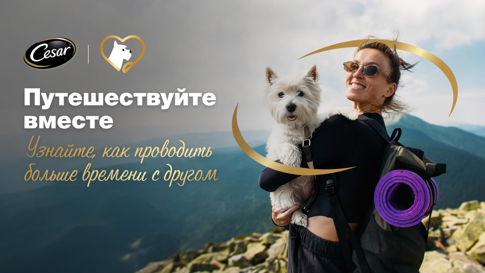 Превью 3