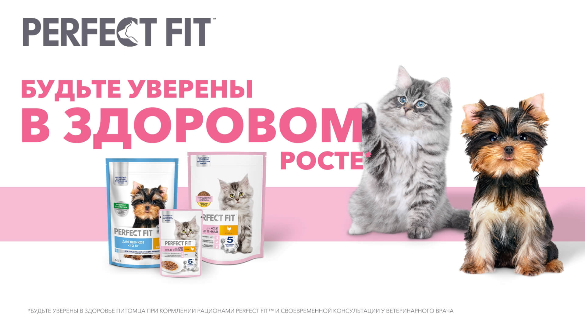 Превью 3