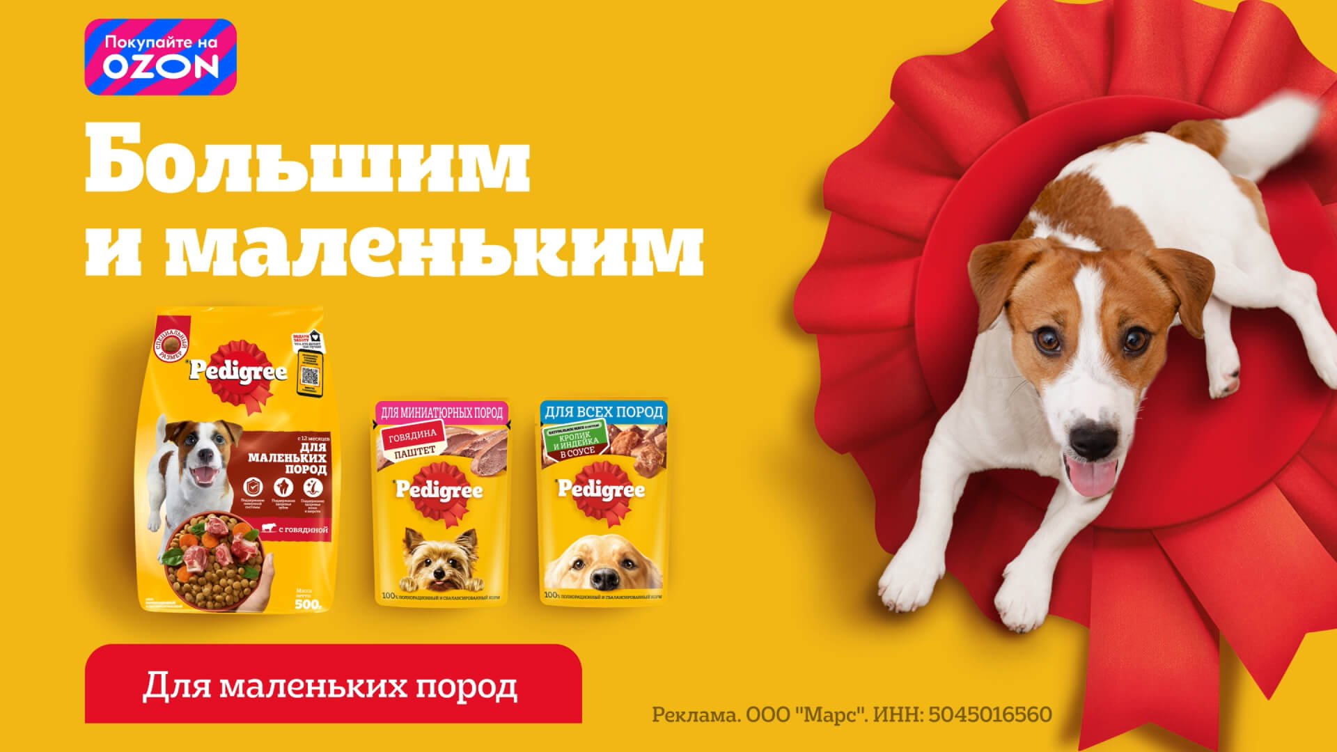 Превью 3