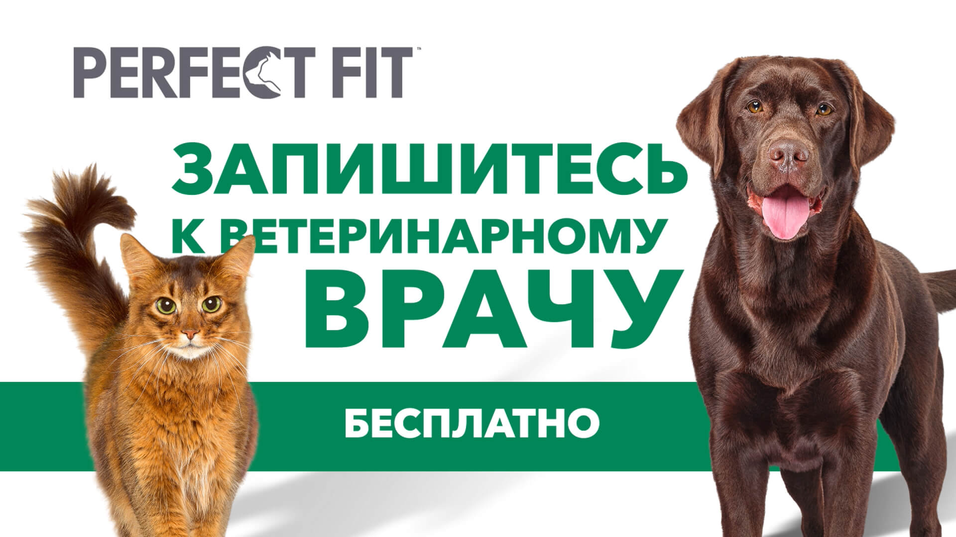 Превью 3