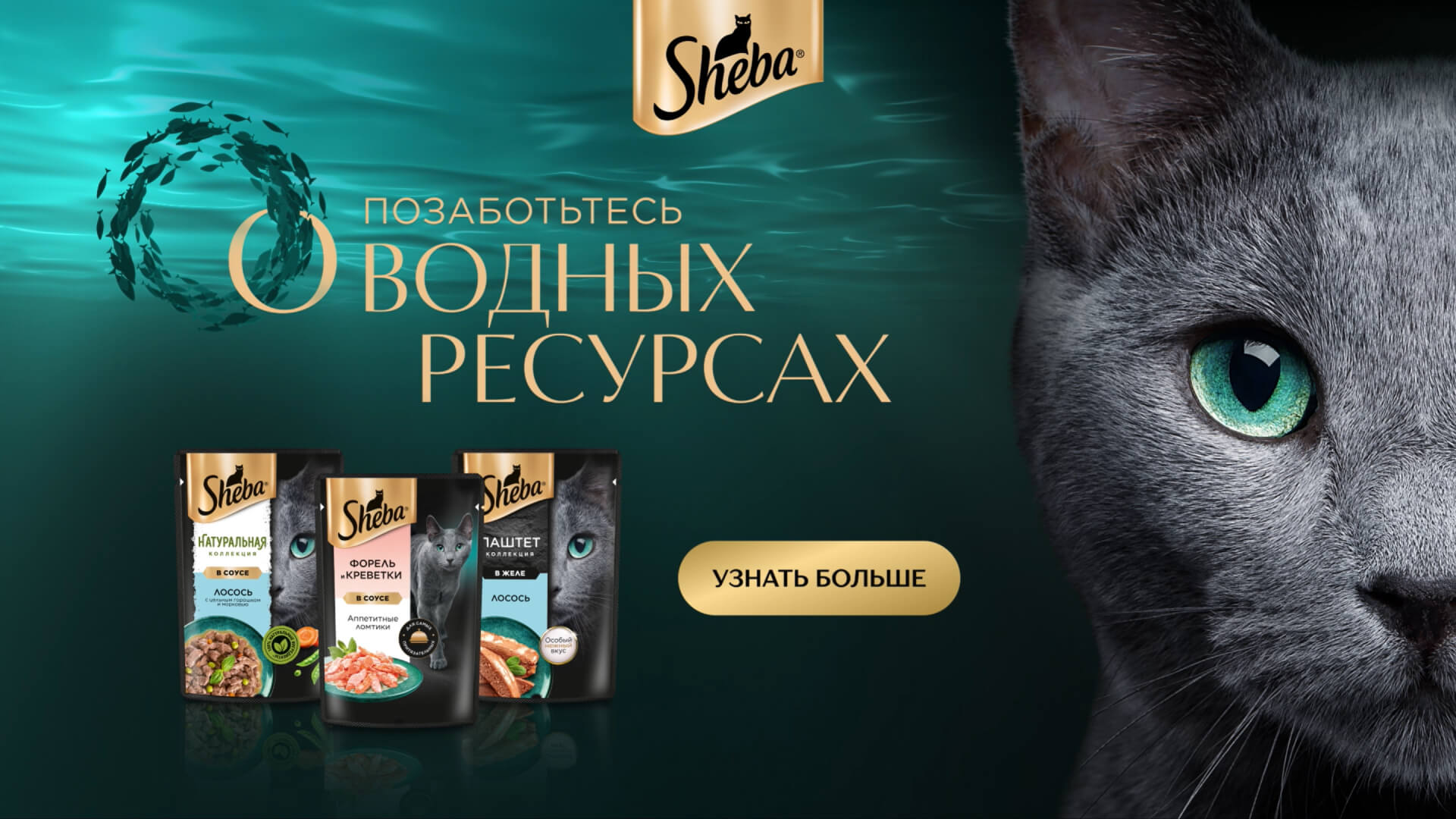 Превью 3