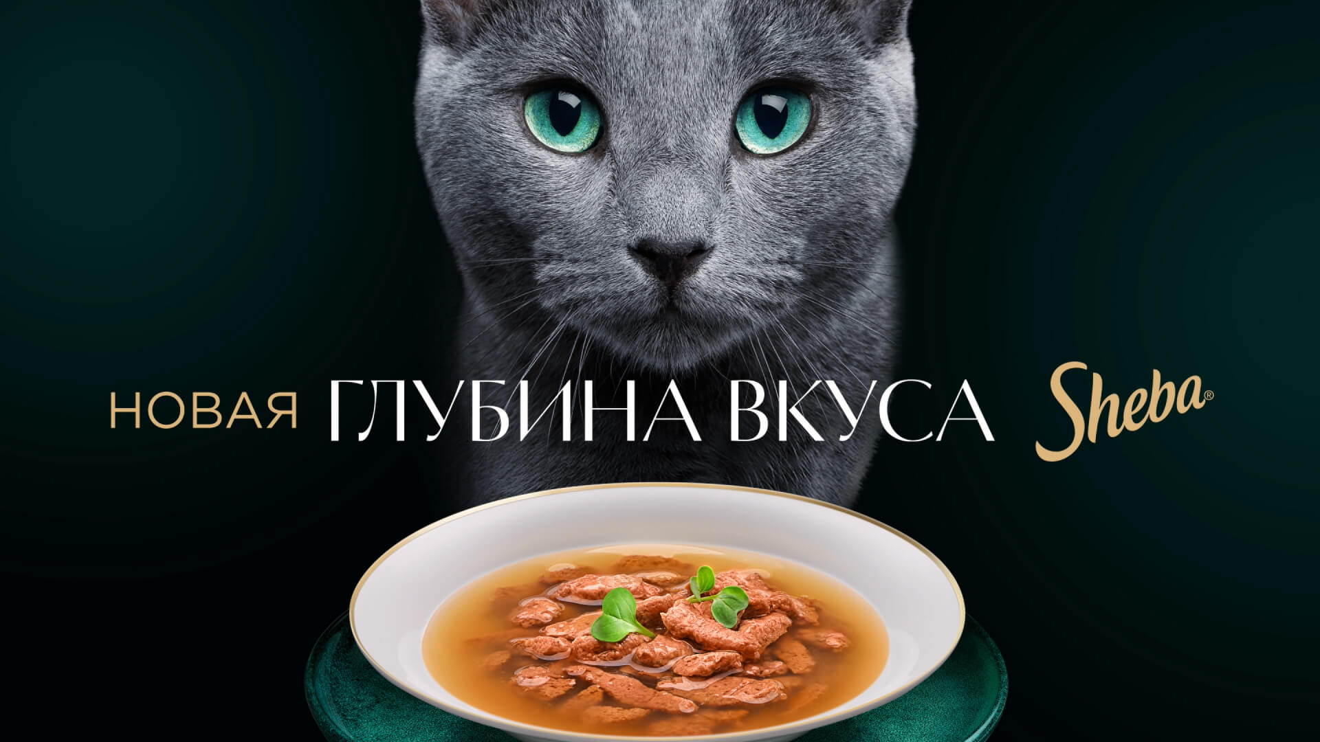 Превью 3