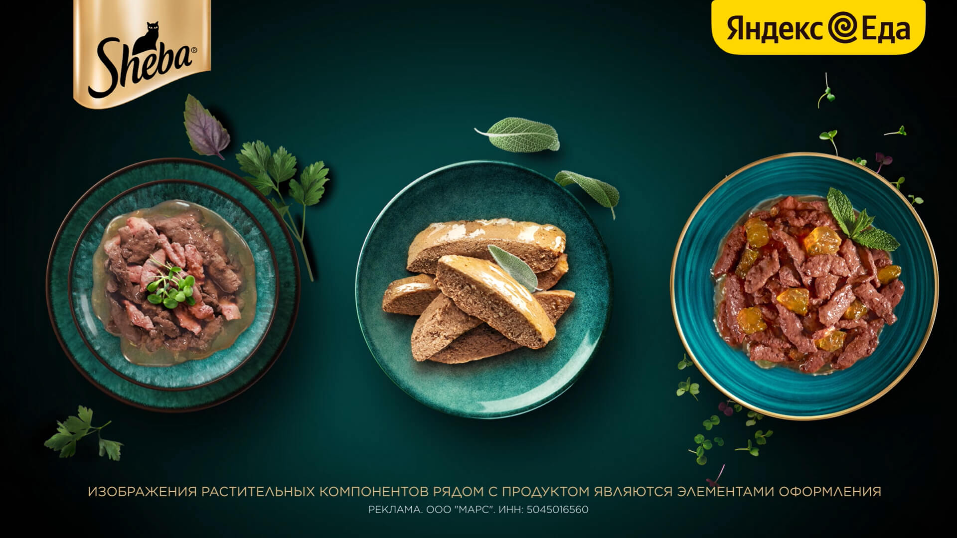 Превью 3