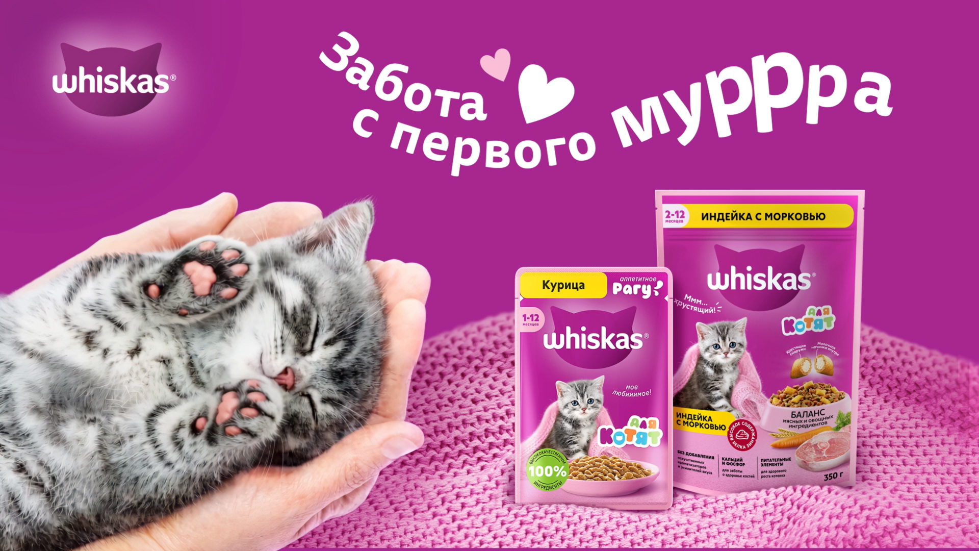 Превью 3